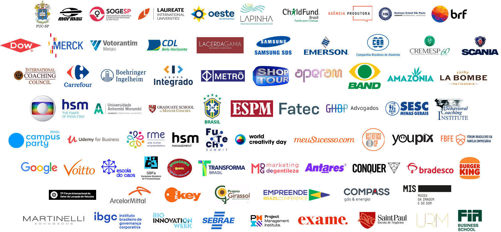Logos Flavia Lippi